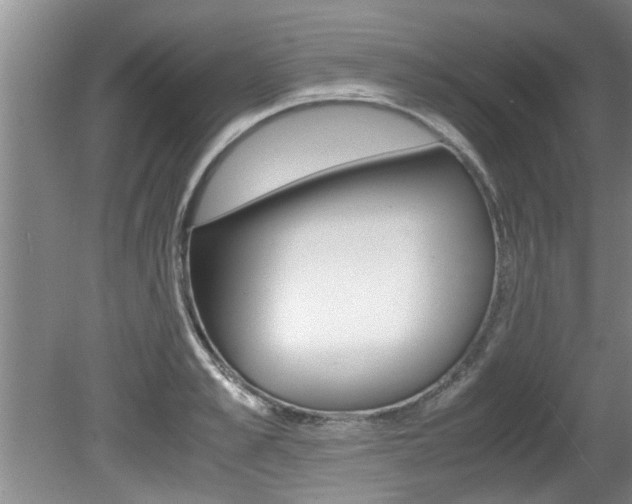 X0000080750989200612150953