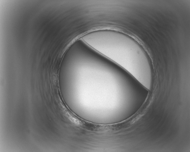 X0000080750993200612150953