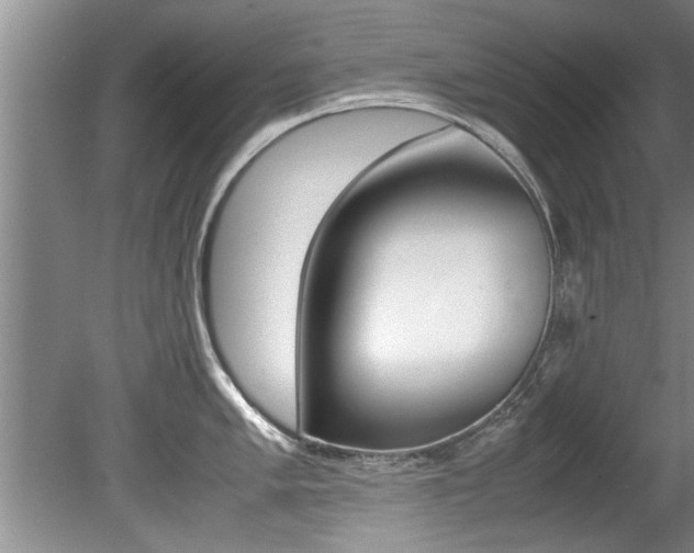X0000080751005200612150953