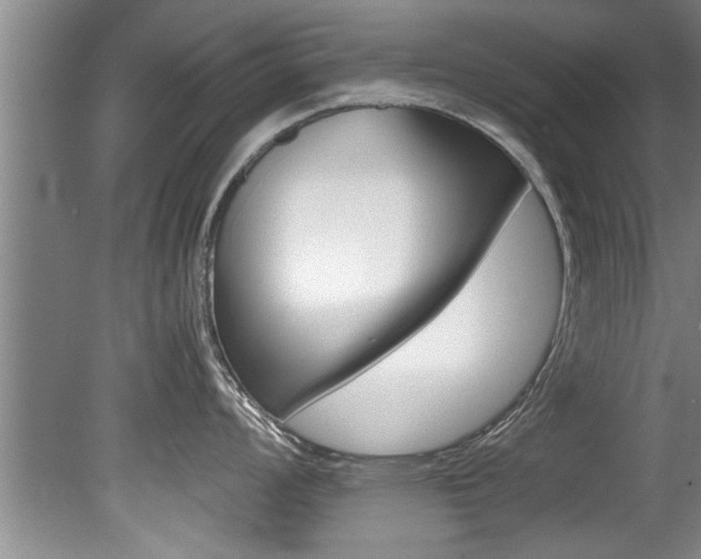X0000080751008200612150953