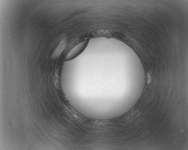 X0000080751011200612150952