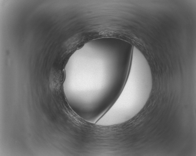 X0000080751012200612150952