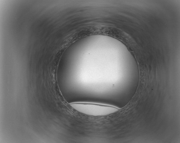 X0000080751013200612150952