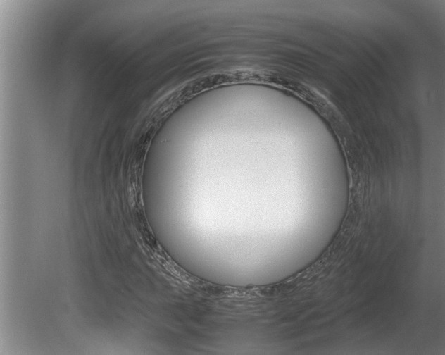 X0000080751015200612150952