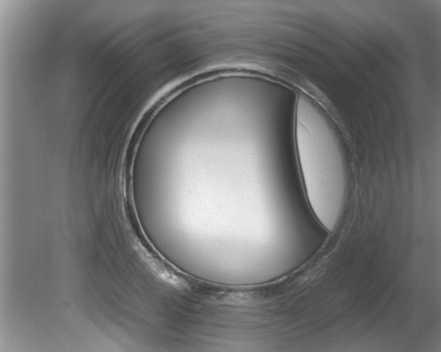 X0000080751028200612150952