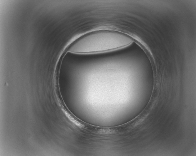 X0000080751037200612150952