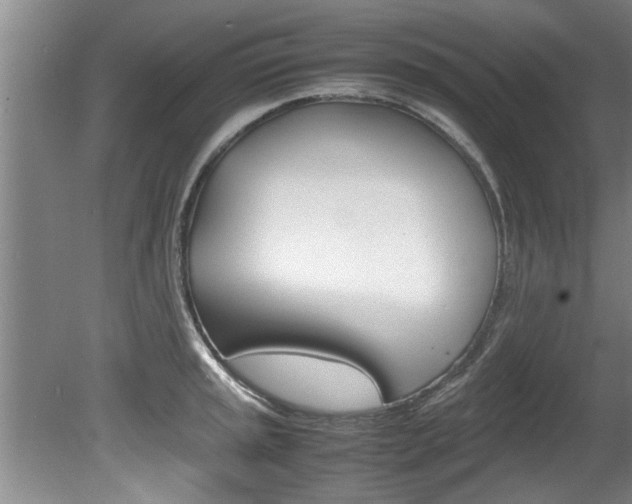 X0000080751045200612150953