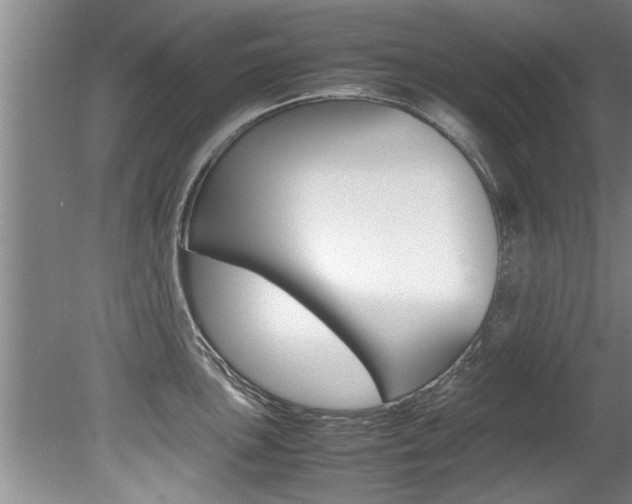 X0000080751051200612150953