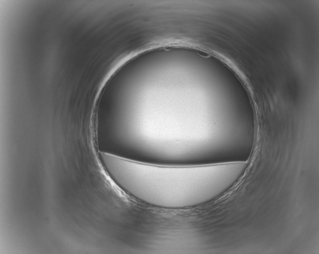 X0000080751056200612150953