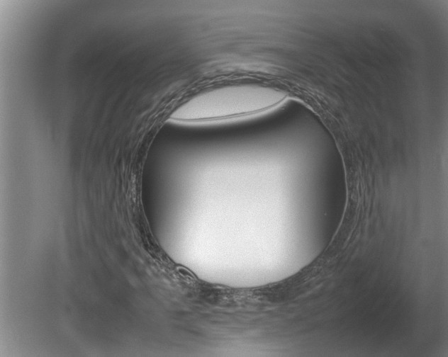 X0000080751061200612150952