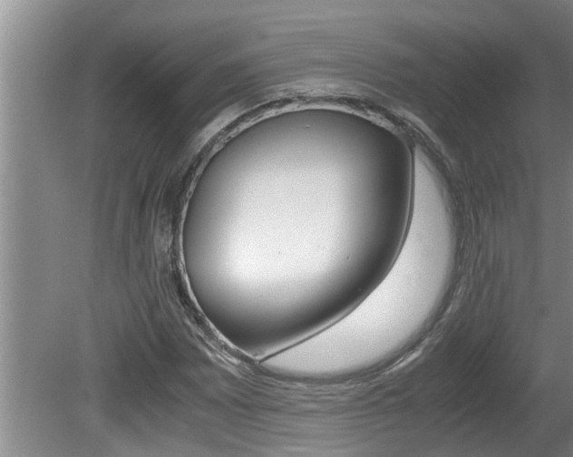 X0000080751065200612150952
