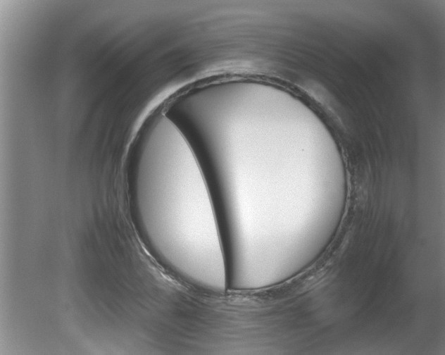 X0000080751070200612150952