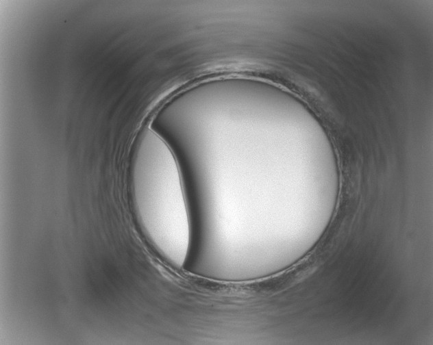 X0000080751073200612150952