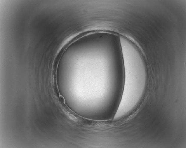X0000080751077200612150952