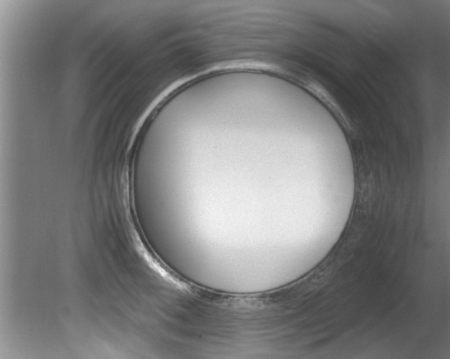 X0000080751092200612150951