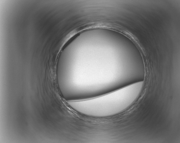 X0000080751097200612150951
