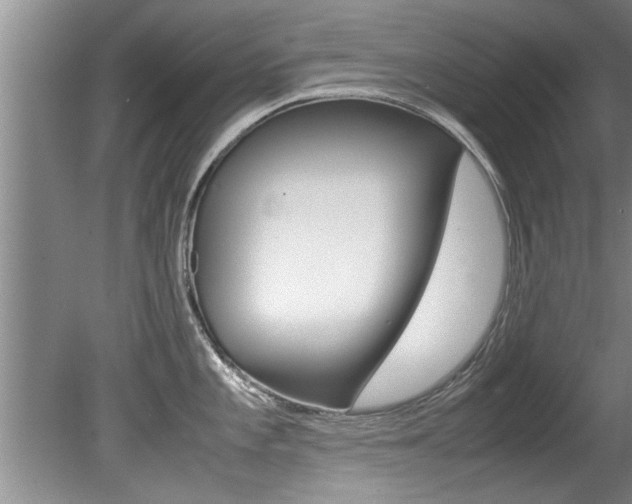 X0000080751101200612150951