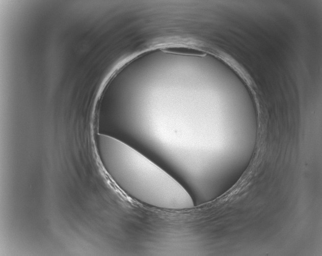 X0000080751104200612150951