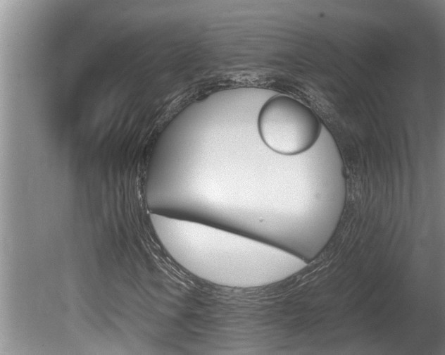 X0000080751106200612150950