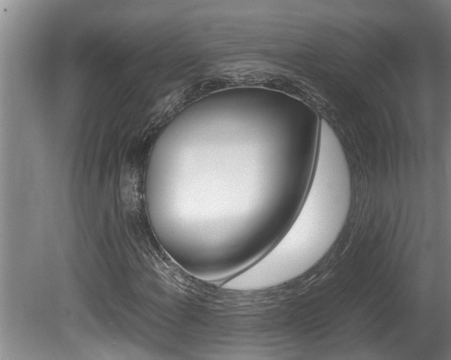X0000080751108200612150950