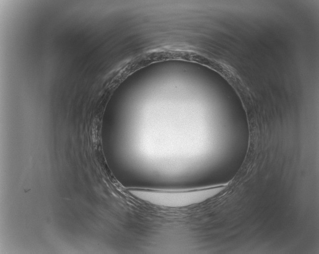 X0000080751110200612150950