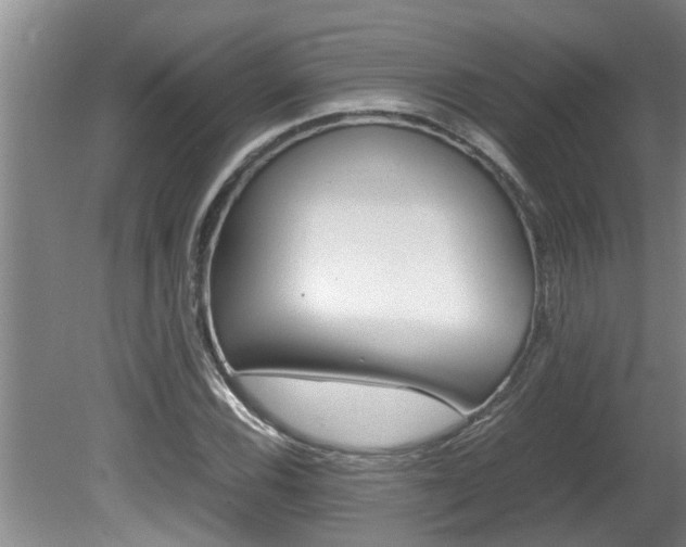 X0000080751116200612150951