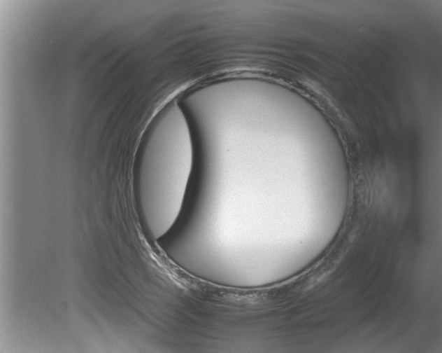 X0000080751121200612150951