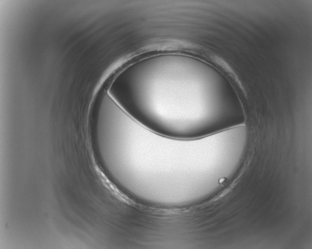 X0000080751122200612150951