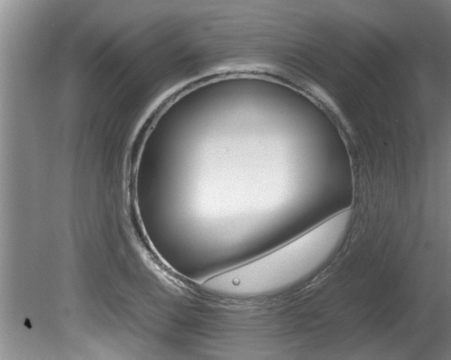 X0000080751124200612150951