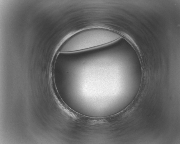X0000080751133200612150951