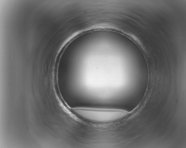 X0000080751134200612150951