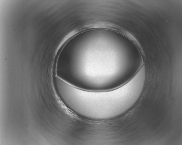 X0000080751138200612150951