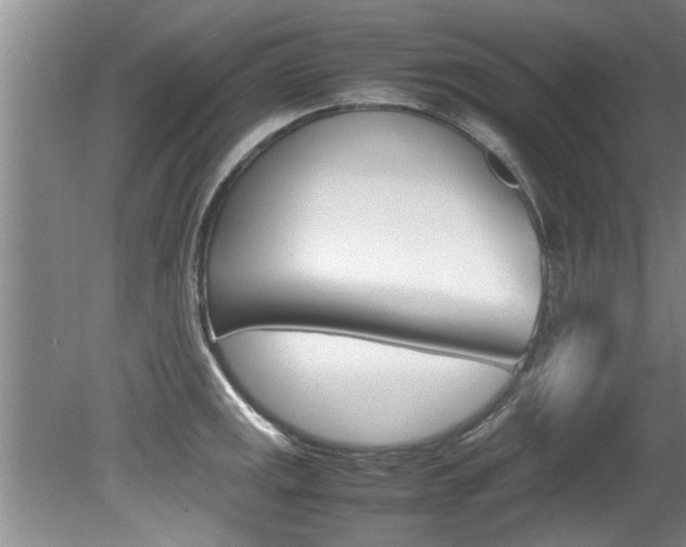 X0000080751141200612150951