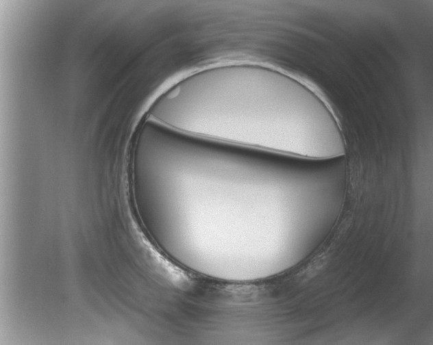 X0000080751142200612150951