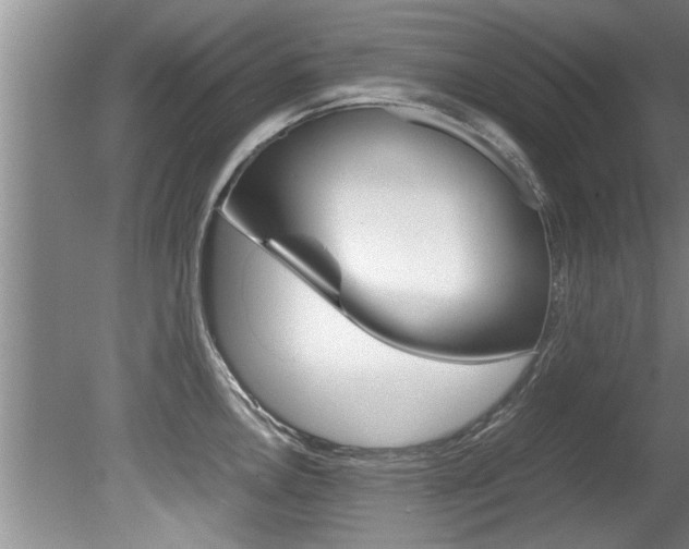 X0000080751146200612150951