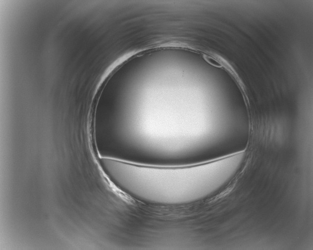 X0000080751149200612150951