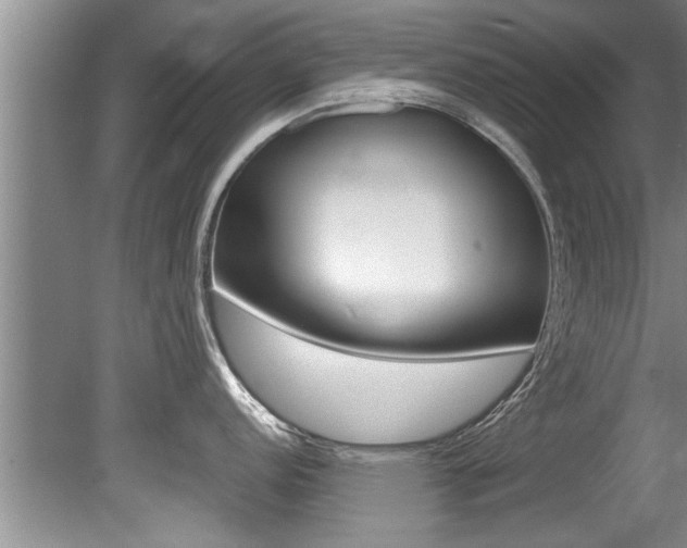 X0000080751152200612150951