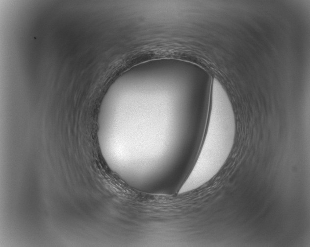 X0000080751153200612150950