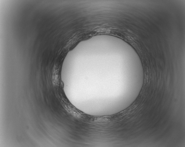 X0000080751154200612150950