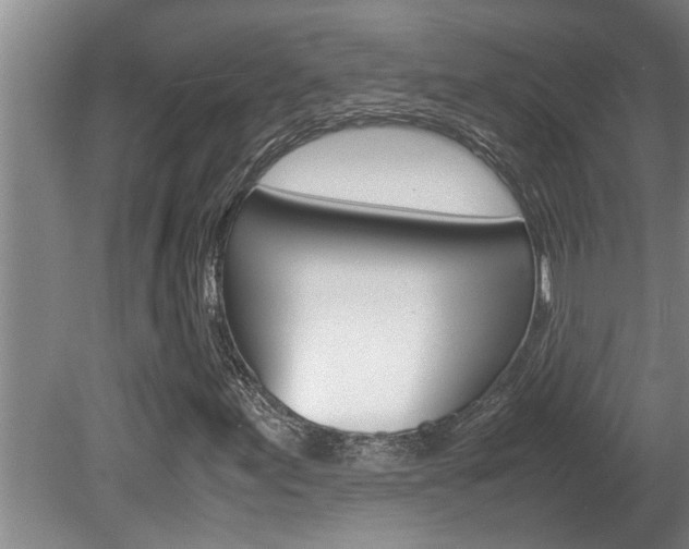 X0000080751155200612150950