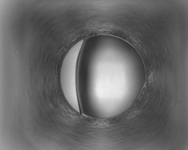 X0000080751156200612150950