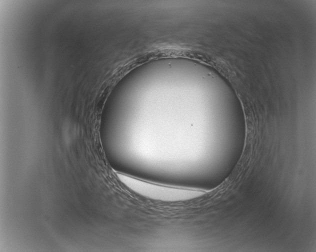 X0000080751157200612150950