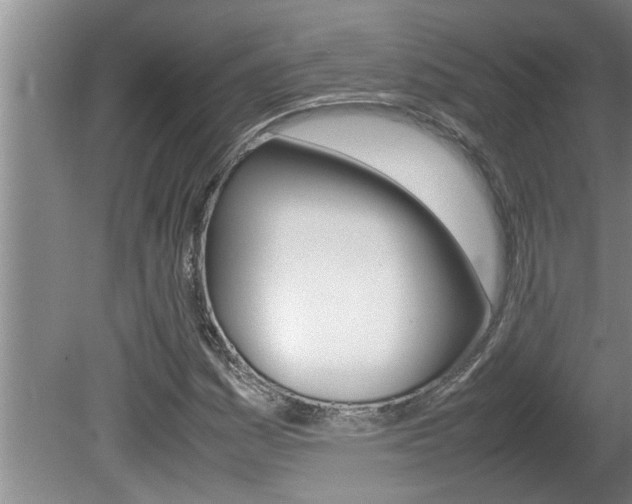 X0000080751161200612150950