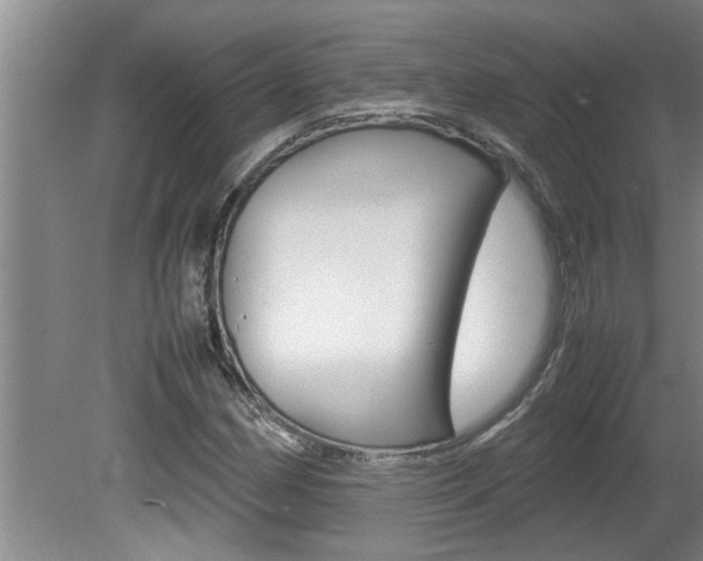 X0000080751162200612150950