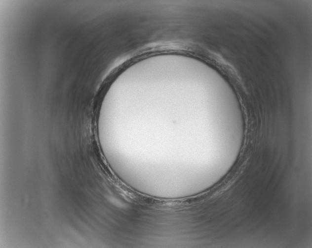 X0000080751166200612150950