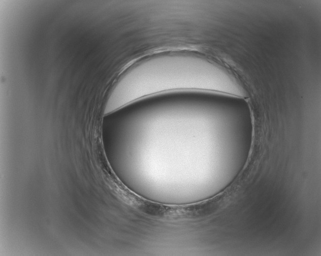 X0000080751169200612150950