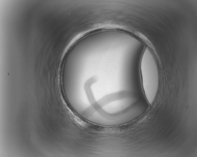 X0000080751183200612150950