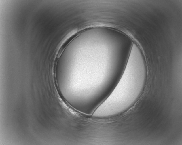 X0000080751189200612150950