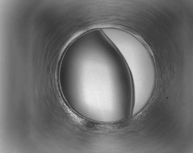 X0000080751197200612150950
