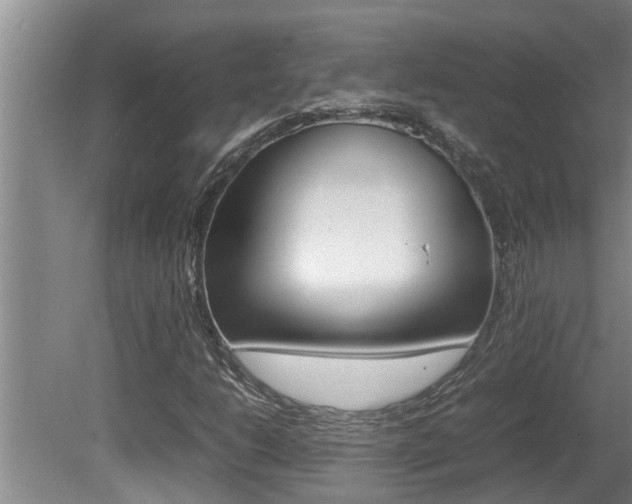 X0000080751206200612150949